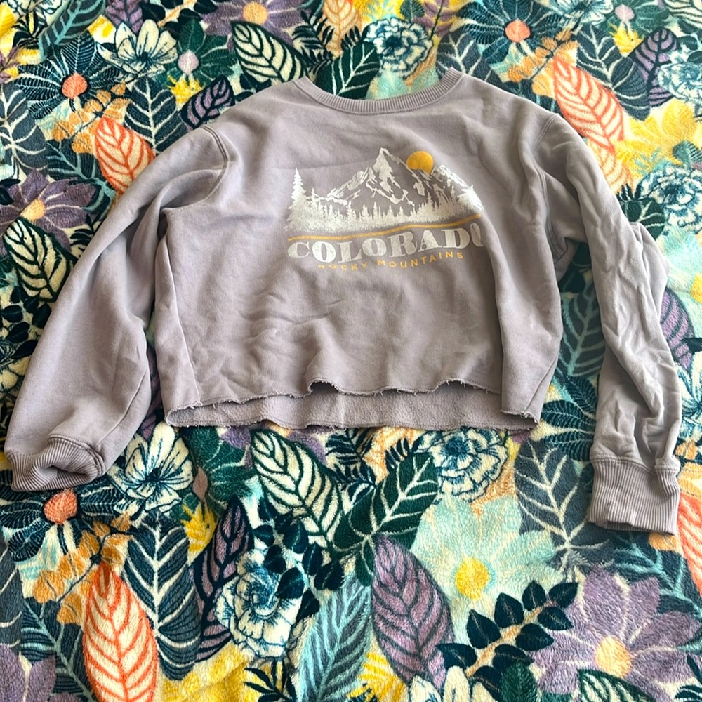 cropped hollister sweatshirt